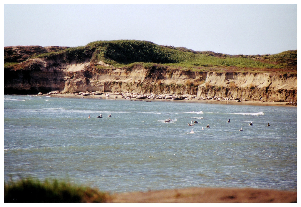 15 - Monterey Bay (7).jpg